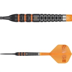 Raymond van Barneveld RVB 95K 95% SP 23 gram