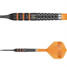 Raymond van Barneveld RVB 95K 95% SP 21 gram
