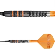 Raymond van Barneveld 95k 95% Soft Tip 20 gram
