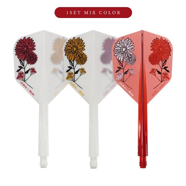 Condor Axe Flights S. - Gerbera & Statice, Medium